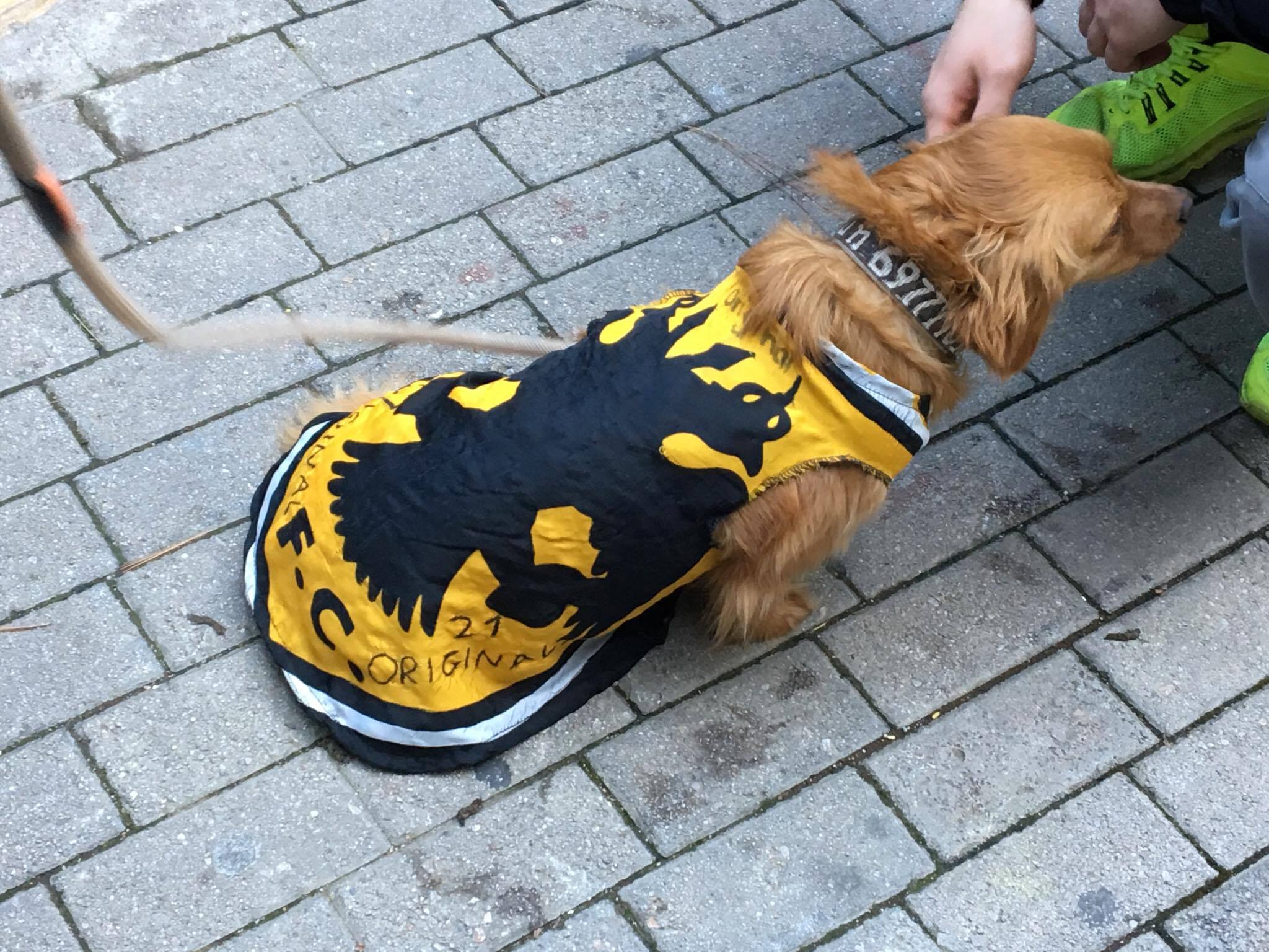 Εικόνα live21961344/16819.jpg