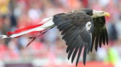 Superliga: Οι «αετοί» πετούν! (video)