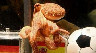 Στον… κουβά ο Πολ!