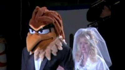 Δεν φοβήθηκε το… πουλί η νύφη! (video)