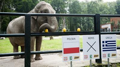 Έδειξε Πολωνία ο… ελέφαντας!