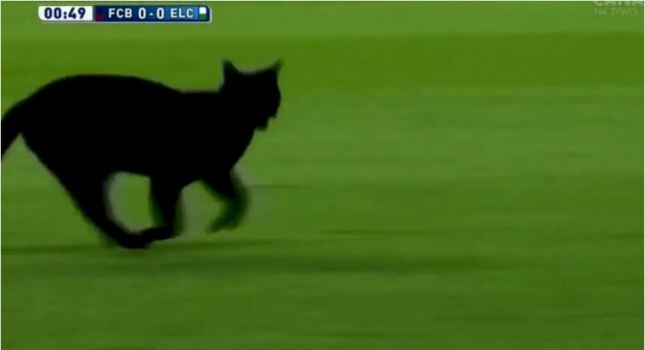 Δεν «μασάει» από μαύρες γάτες η Μπαρτσελόνα! (video)