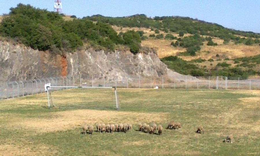 Η λίγκα τα… χωράφια και η ΕΠΟ την απαξίωση του VAR!