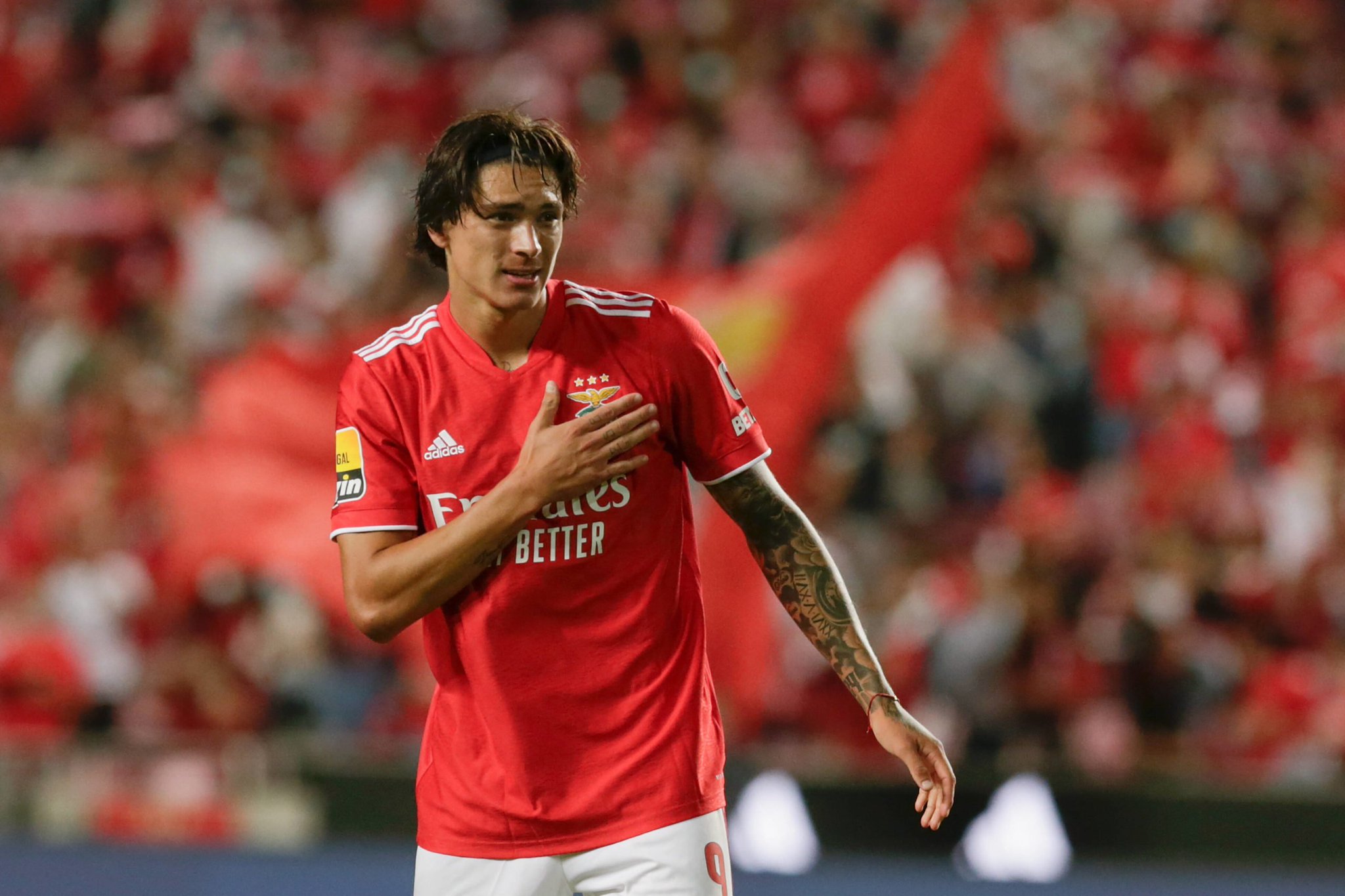 Εικόνα live 21968622/51243.jpg 