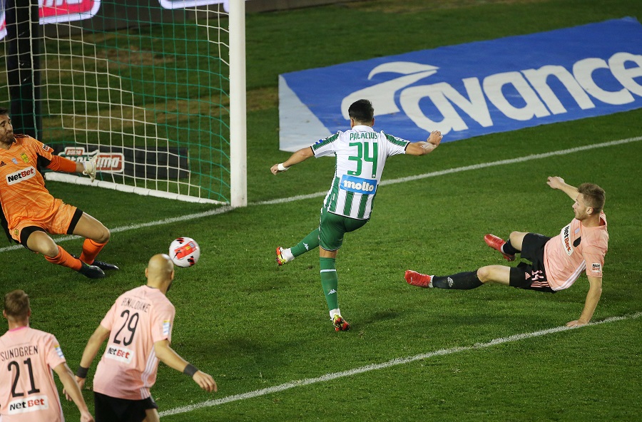 Εικόνα live 21969845/65092.jpg 