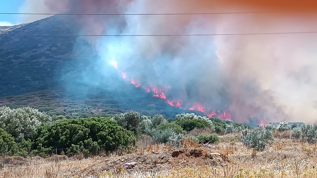 Εικόνα live 21975898/104833.jpg 