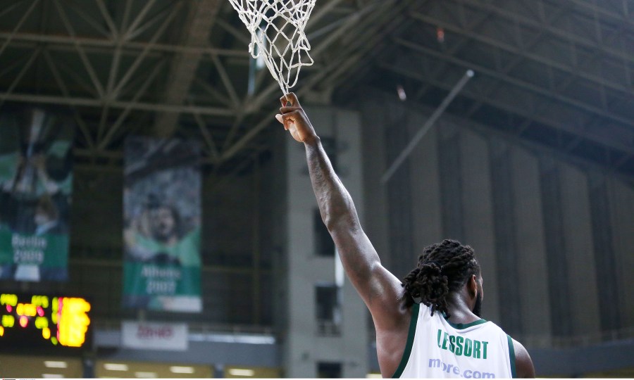 Εικόνα live 21976597/33908.jpg 