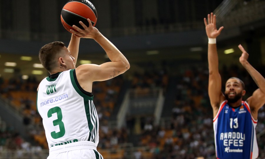 Εικόνα live 21976597/45696.jpg 