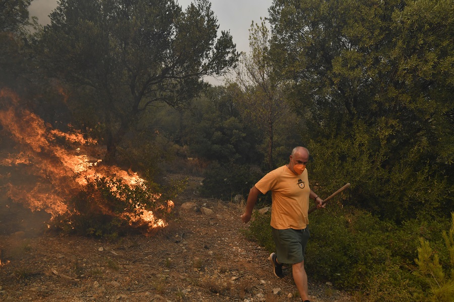 Εικόνα live 28800732/23349.jpg 