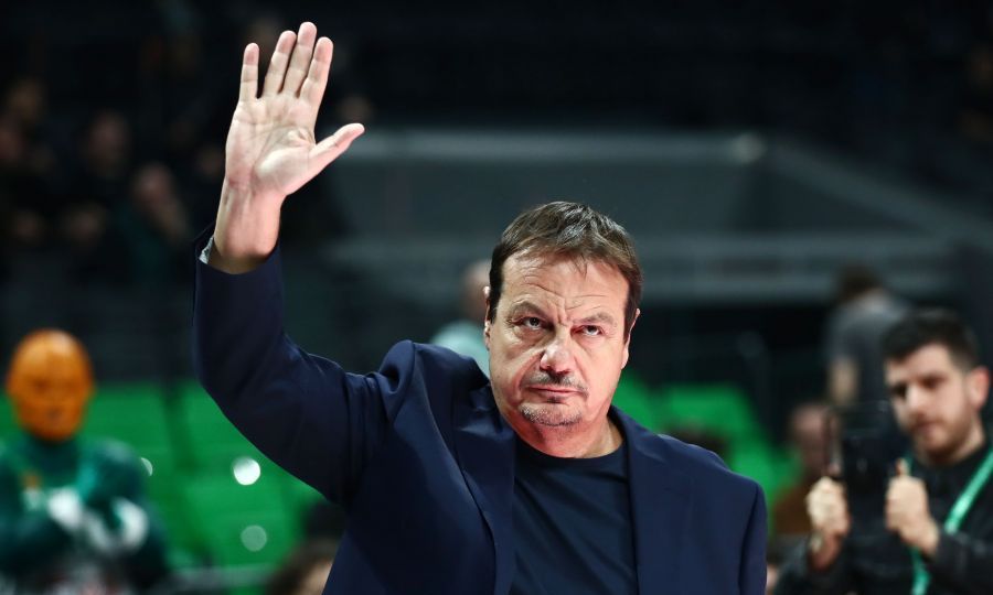 Εικόνα live 28802543/67848.jpg 