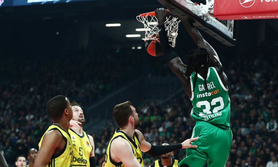 Εικόνα live 28803249/9238.jpg 