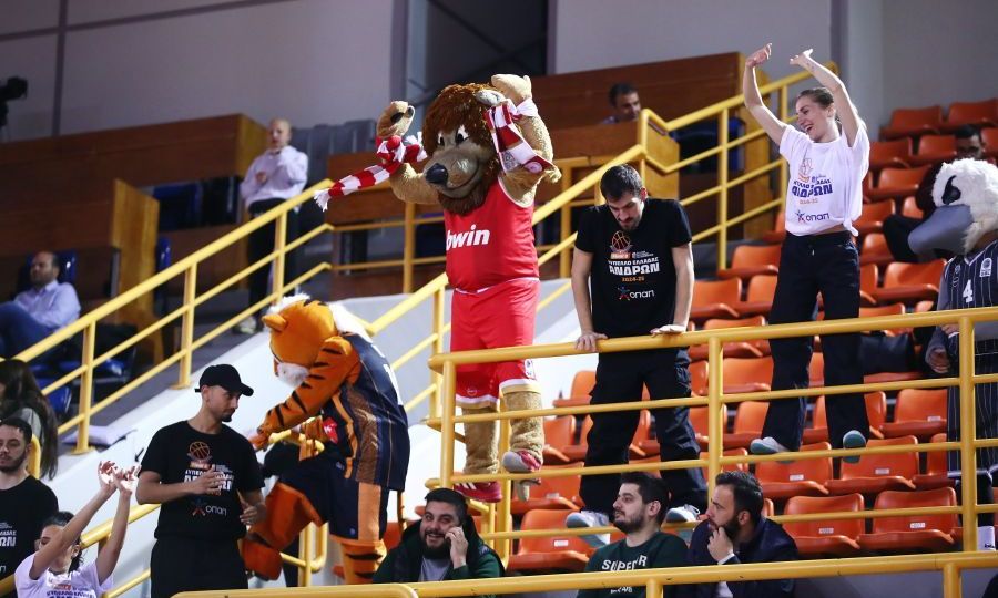 Εικόνα live 28803378/20099.jpg 