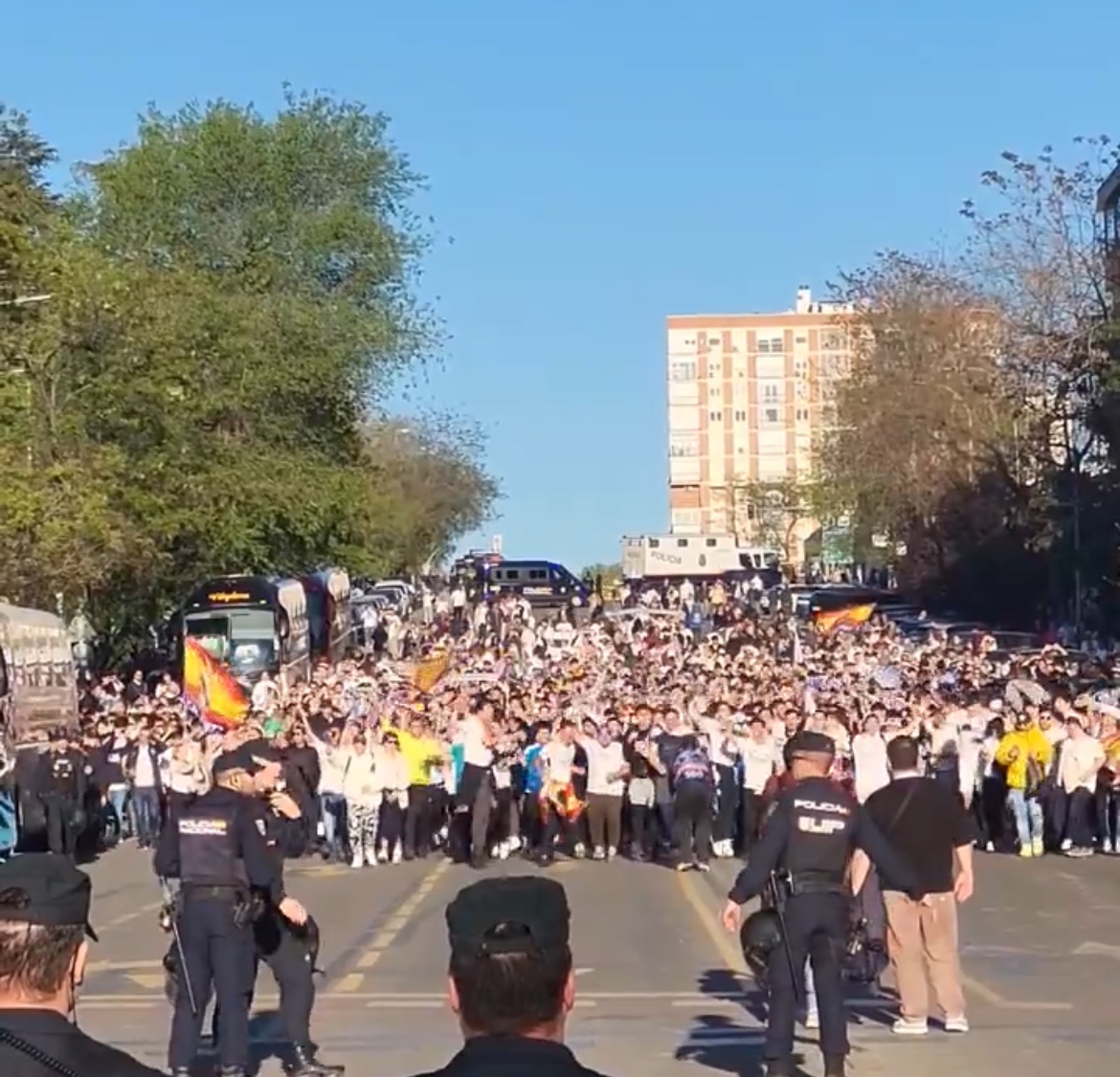 Εικόνα live 28804258/117638.jpg 