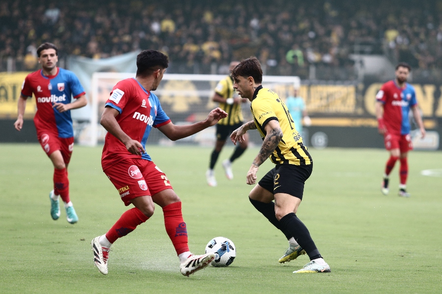 Εικόνα live 28805611/43526.jpg 