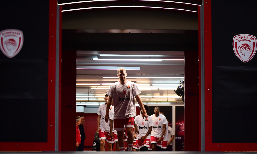 Εικόνα live 28805784/99771.jpg 