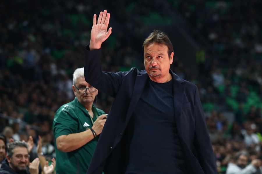 Εικόνα live 28806466/101694.jpg 