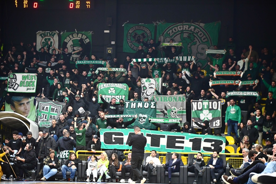 Εικόνα live 28807234/29237.jpg 