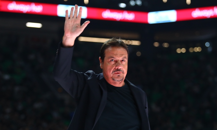 Εικόνα live 28807357/60793.jpg 