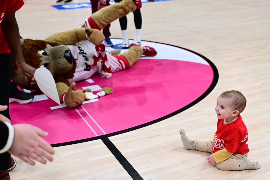 Εικόνα live 28807549/56403.jpg 