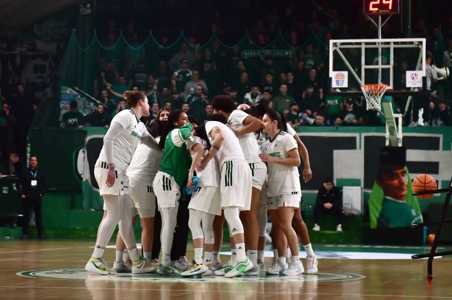 Εικόνα live 28807795/90343.jpg 