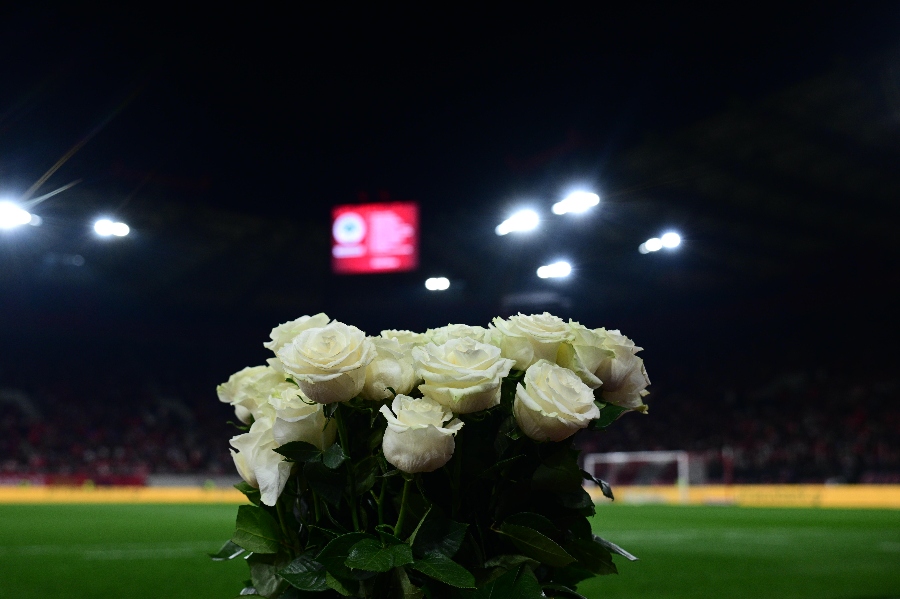 Εικόνα live 28808021/40890.jpg 