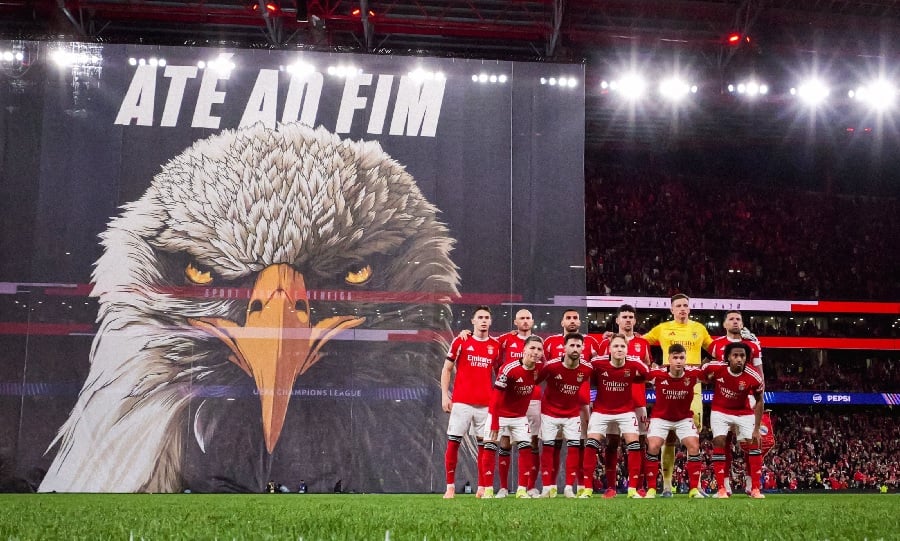 Εικόνα live 28808141/53826.jpg 