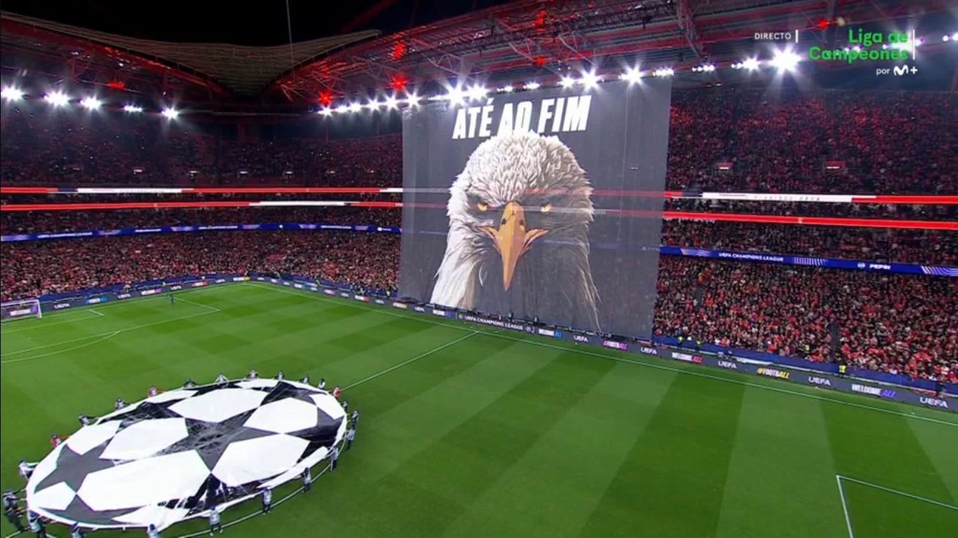 Εικόνα live 28808141/76368.jpg 