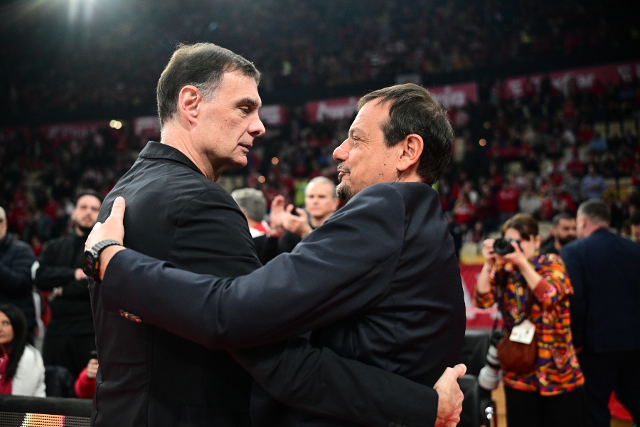 Εικόνα live 28808382/36567.jpg 