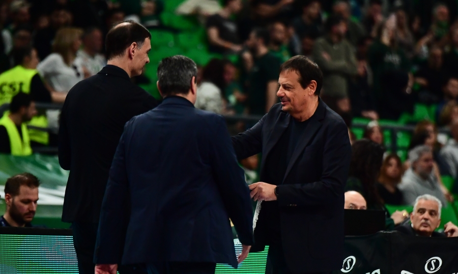 Εικόνα live 28808779/96809.jpg 