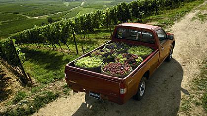 Μονοκάμπινο Isuzu D-Max 2.5 lt