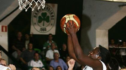 «Άλωσαν» τη Λεωφόρο οι Εσπερίδες