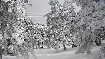 Χρόνια πολλά και καλή χρονιά