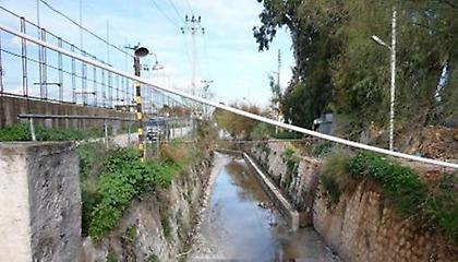 Ο Ελαιώνας των Αθηνών: Θέσεις και Απόψεις (Μέρος Β’)