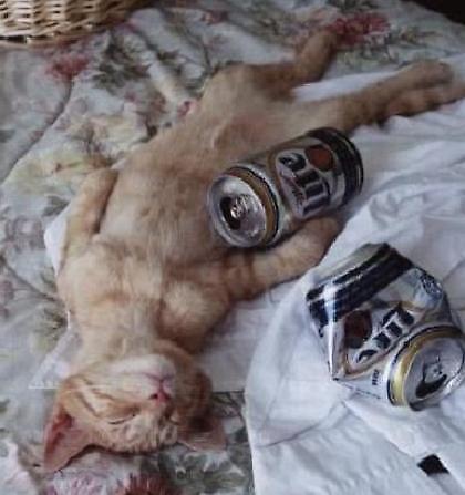 Τα διαψεύδω -χικ- όλα!