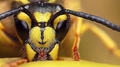 Ταξίδι στον Animal Planet!