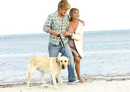 Το Slum-σκυλί και το σκυλί