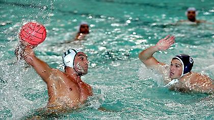 ''Ζωντανή'' για Ευρώπη η Χίος