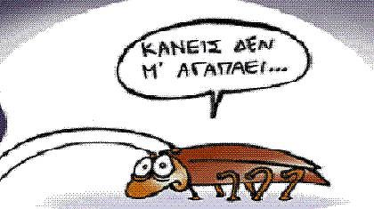 Έντομα με τάσεις παχυσαρκίας!