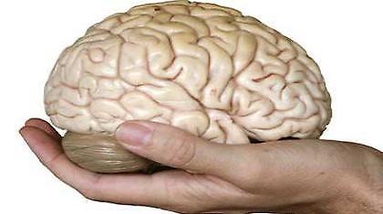 Έναν εγκέφαλο παρακαλώ