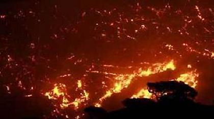 …Καίω τα δέντρα, χτίζω μεζονέτες…