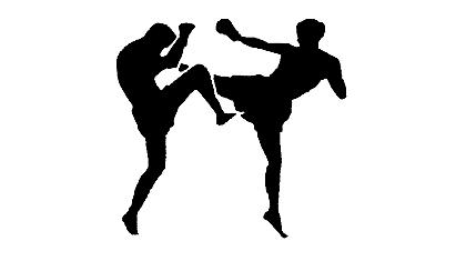 Το ελληνικό KickBoxing στην Αυστρία