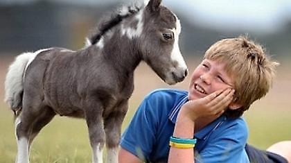 Μικρό μου «πόνι»…