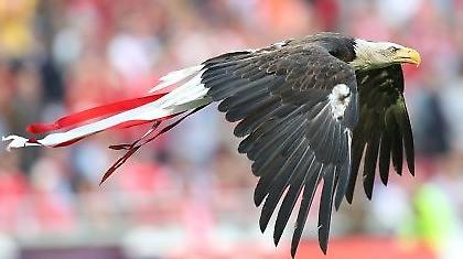 Superliga: Οι «αετοί» πετούν! (video)