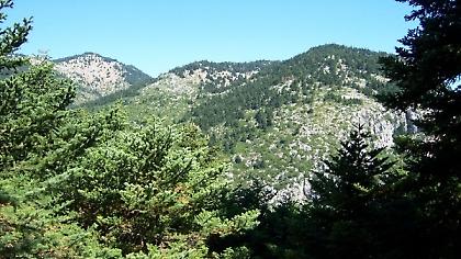 Φάε ψηλά και αγνάντευε!