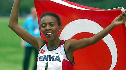 Κορυφαίοι  Γκίλικ, Αμπελεϊγκένσε