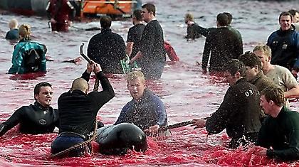 Το «ανθρώπινο» πρόσωπο ενός μακελειού