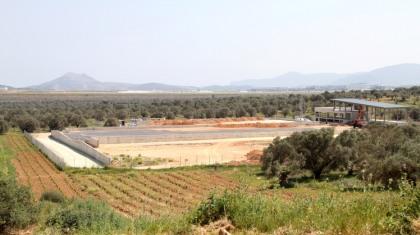 Από τον κήπο στο παλάτι!