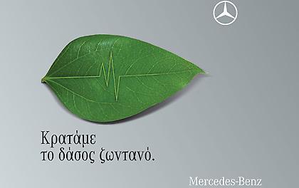 Κρατάμε το δάσος ζωντανό!