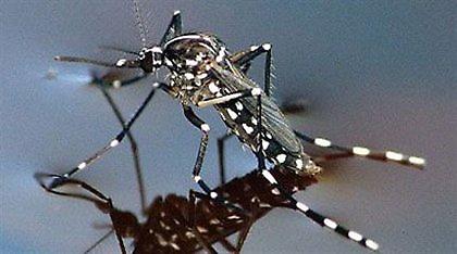 Σύσκεψη στο υπουργείο Υγείας για τον ιό του Δυτικού Νείλου