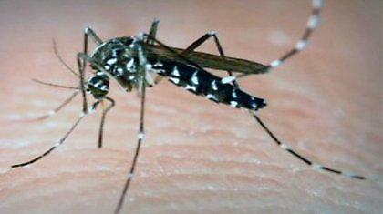 Στους 23 οι νεκροί από τον ιό του Δυτικού Νείλου